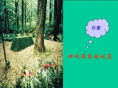 八年级语文上册 第14课《世间最美的坟墓》课件 冀教版