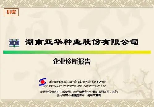 企业诊断报告.