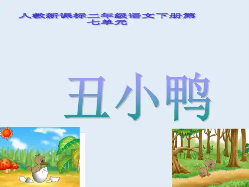 28_丑小鸭PPT课件