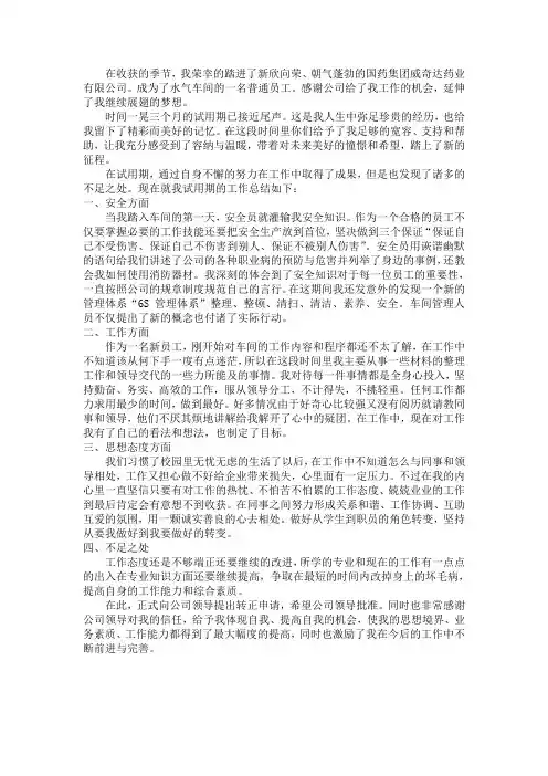 转正申请工作总结