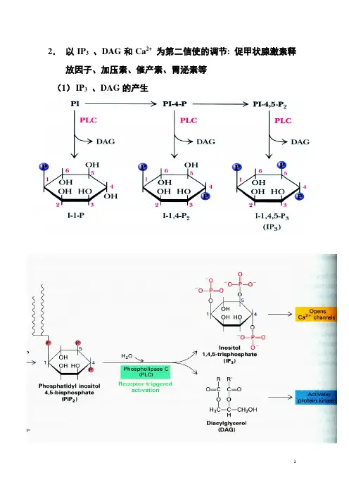 南开大学 第七章 激素与细胞信号转导-3