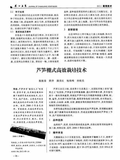 芦笋棚式高效栽培技术