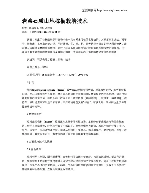 岩溶石质山地棕榈栽培技术