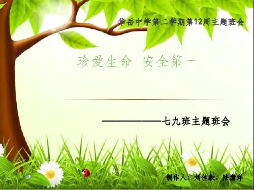 珍爱生命-安全第一完整ppt课件