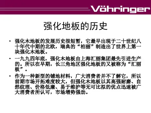 地板行业分析