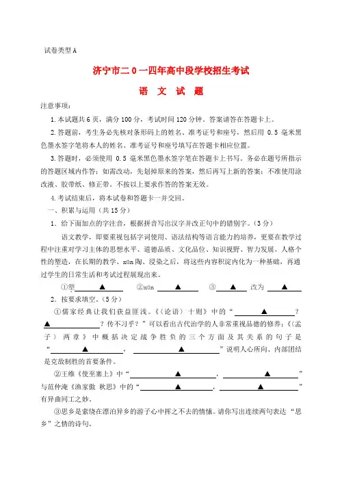 山东省济宁市中考语文真题试题(含答案)