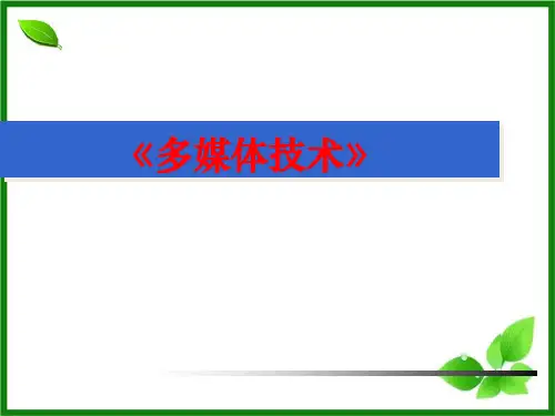 多媒体动画制作