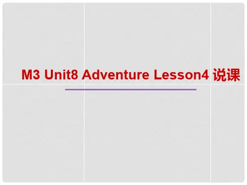 北京市昌平一中高中英语 Unit 8 Lesson 4 Journey to the Antarctic课件 北师大版必修3