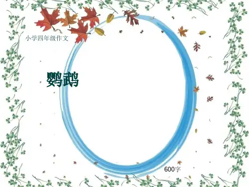 小学四年级作文《鹦鹉》600字(共10页PPT)