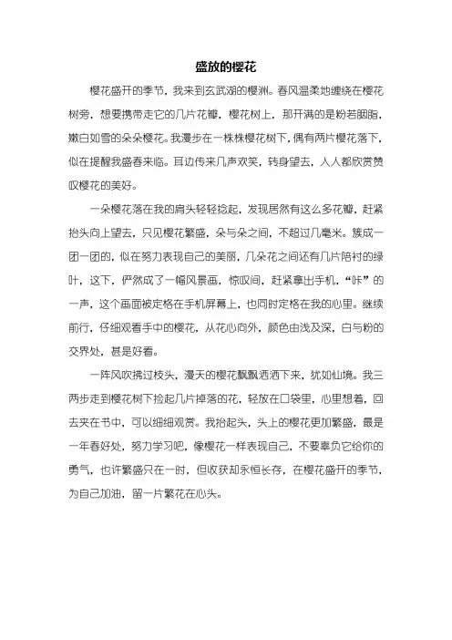 五年级作文：描写樱花的作文400字