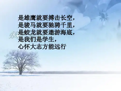 是雄鹰就要搏击长