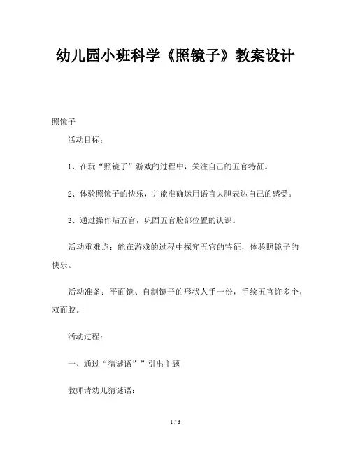 幼儿园小班科学《照镜子》教案设计