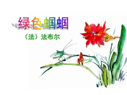 人教新课标(标准实验版)语文七年级上册《绿色蝈蝈》精品课件(共42张PPT)
