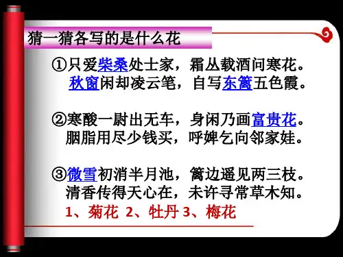 公开课人物鉴赏