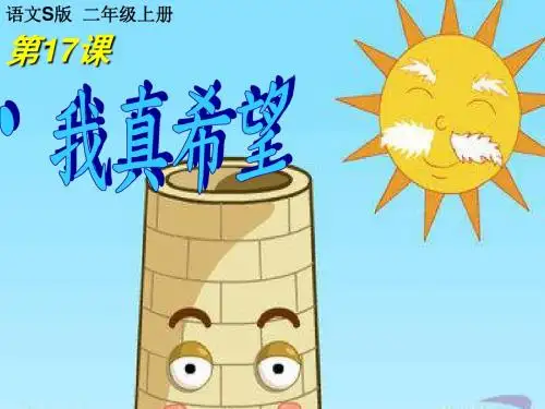 17.我真希望(教学课件)