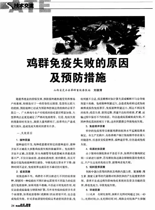 鸡群免疫失败的原因及预防措施