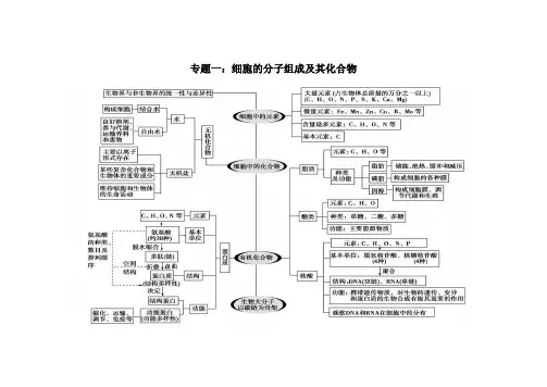 专题一:细胞的分子组成及其化合物 结构图