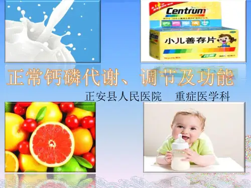 钙磷正常代谢、调节与功能