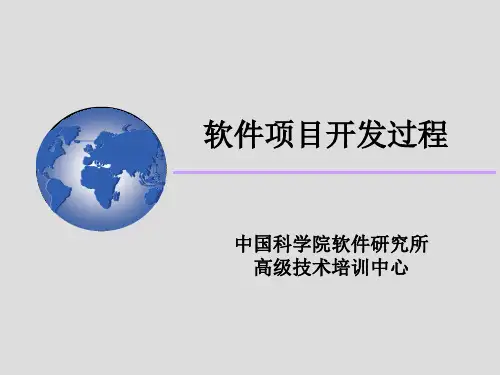 软件项目开发过程(PPT 89)精品文档