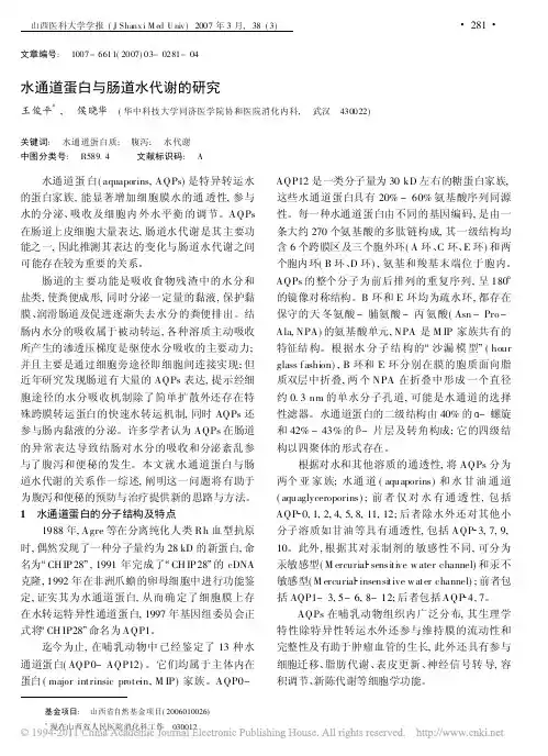 水通道蛋白与肠道水代谢的研究