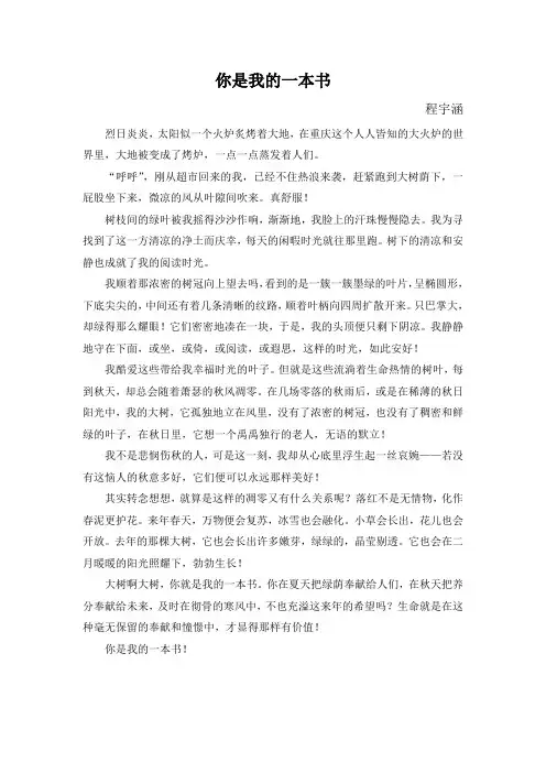 你是我的一本书
