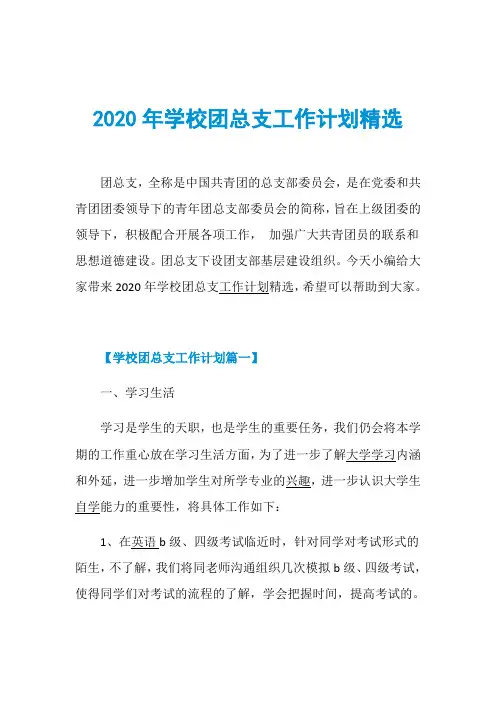 2020年学校团总支工作计划精选