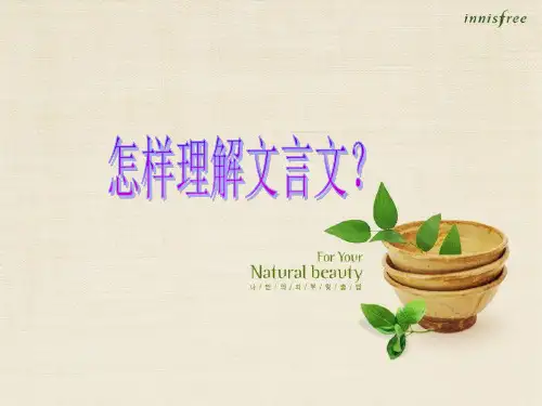 怎样理解文言文