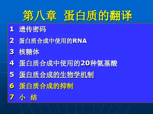 分子生物学--蛋白质的翻译课件