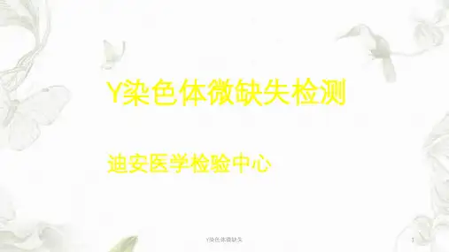 Y染色体微缺失ppt课件
