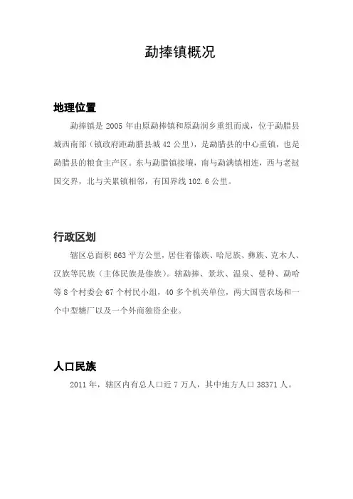 勐捧镇概况