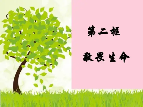 敬畏生命ppt优秀课件10 人教版