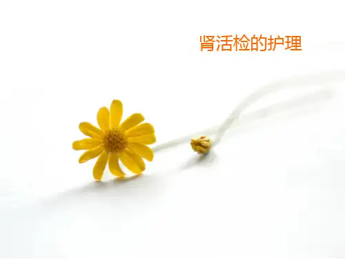 肾活检护理