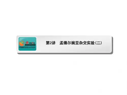 高考生物(人教版)一轮复习课件：孟德尔豌豆杂交实验(二)