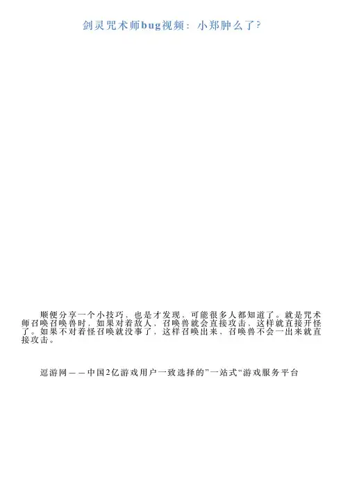 剑灵咒术师bug视频:小郑肿么了?