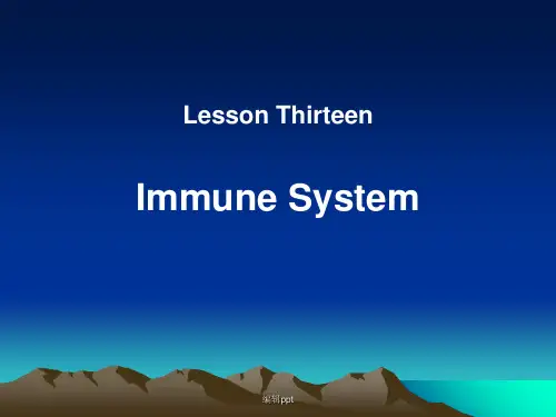 兽医专业英语lesson th