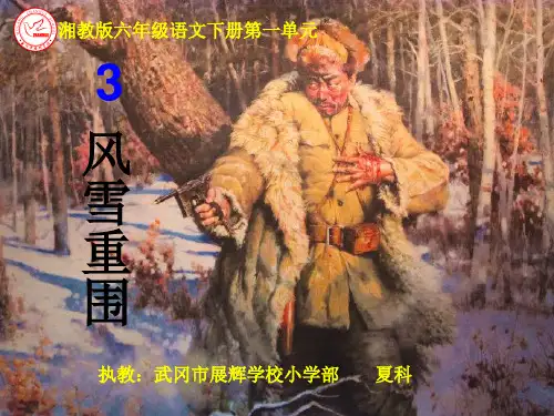 【3】《风雪重围》