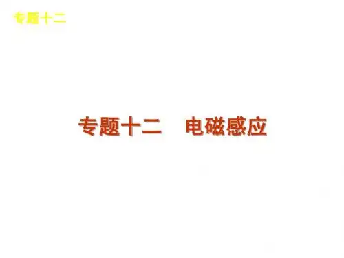 2012届高考物理二轮复习精品课件(大纲版)专题12 电磁感应