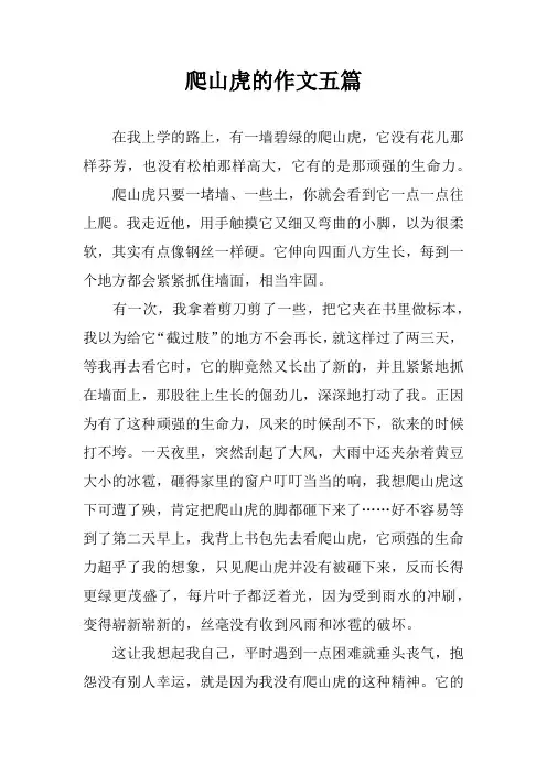 爬山虎的作文五篇