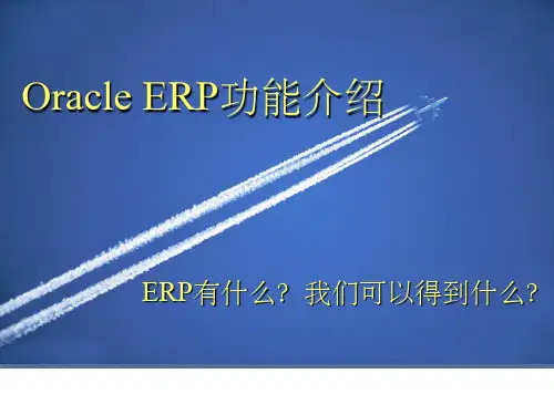 Oracle ERP功能介绍PPT课件