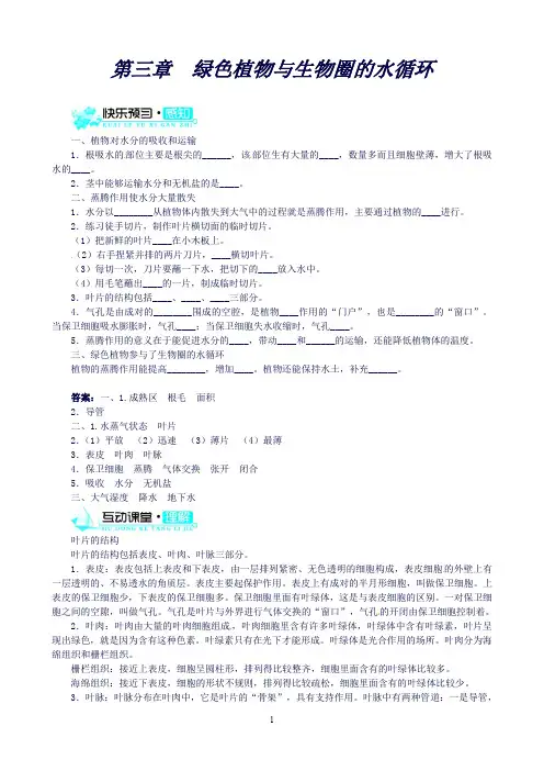 七年级生物上册3.3绿色植物与生物圈的水循环练习人教版