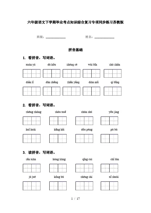 六年级语文下学期毕业考点知识综合复习专项同步练习苏教版