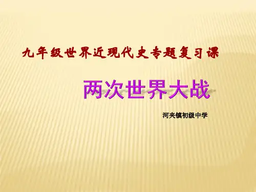 两次世界大战复习课---专题复习