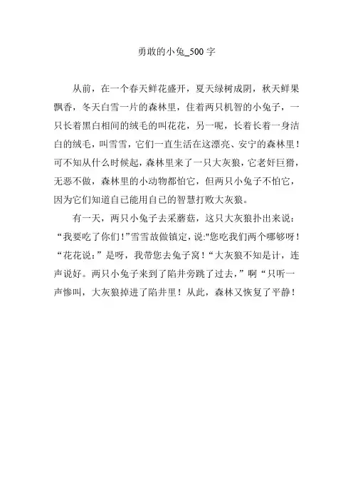 勇敢的小兔【作文案例】500字