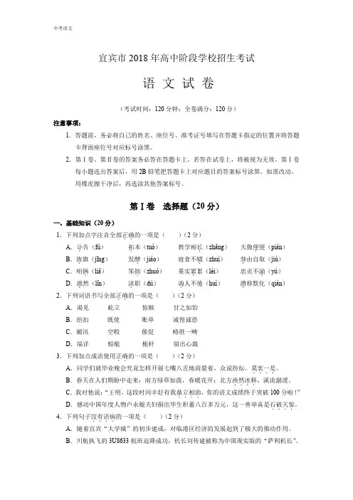四川省宜宾市2018年中考语文试卷