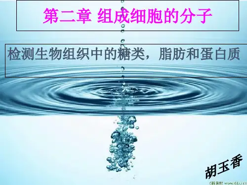 21检测生物组织中的糖类·脂肪和蛋白质