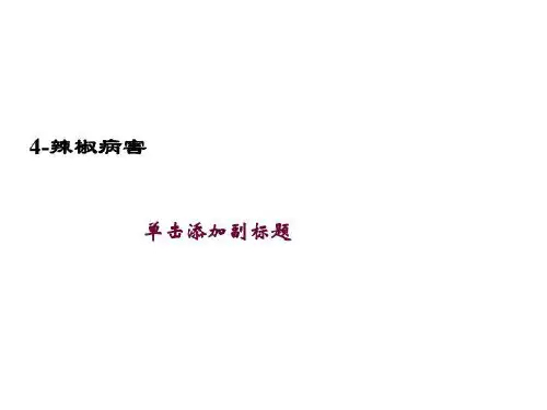 4-辣椒病害