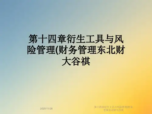 第十四章衍生工具与风险管理(财务管理东北财大谷祺