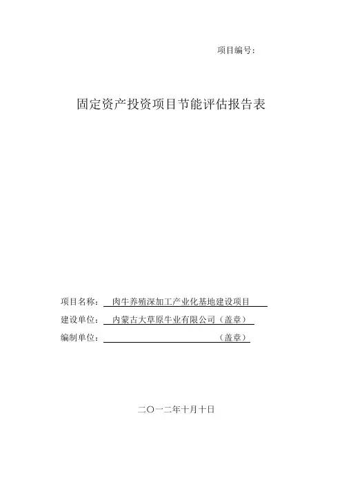 固定资产投资项目节能评估报告表 2