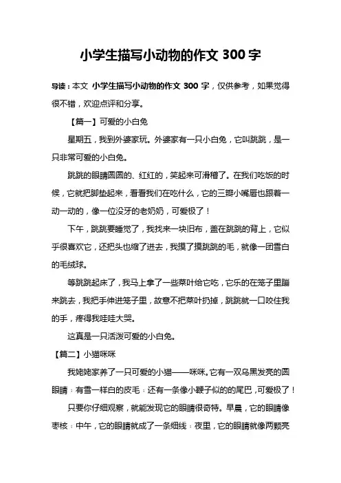小学生描写小动物的作文300字