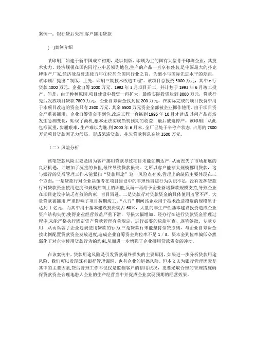 贷款风险案例